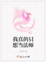 我真的只想当法师txt