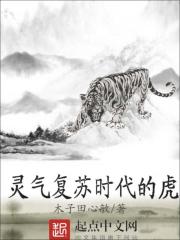 灵气复苏时代的虎 小说