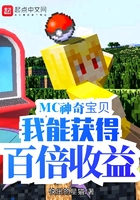 MC神奇宝贝:我能获得百倍收益起点中文网