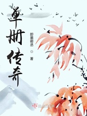 单职业版本传奇