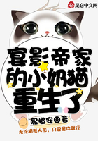 宴影帝家的小奶猫重生了txt下载花生小说下载