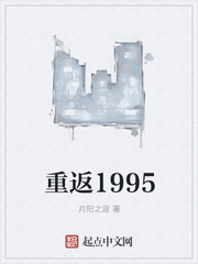 重返1995月阳之涯起点中文网