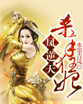凤逆天：杀手狂妃