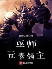 巫师：元素领主