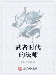 全职法师之武者