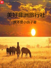 北京金色非洲旅行社